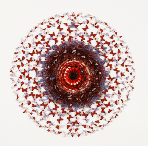 Dreamcatcher butterfly murrina red and blue, 2020