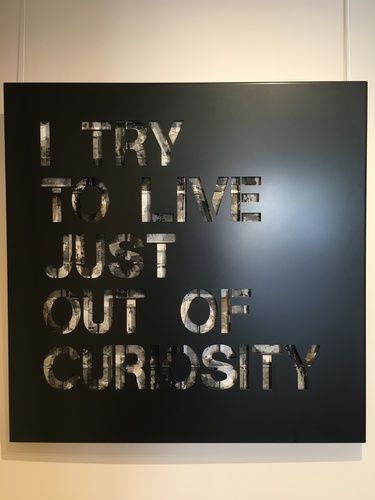 Curiosity