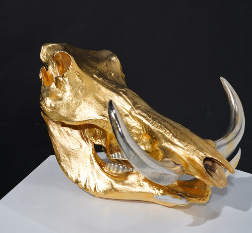 Warthog Skull - gold with silver teeth and tusks