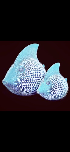 Poisson Lune Turquoise, 2021 (80 cm)