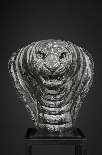 Tête tigre-cobre