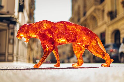 Panther full fractal ambre
